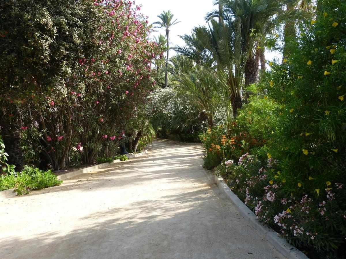 Very Best Flat Ust 800M Postiguet-Beach Alicante Eksteriør bilde
